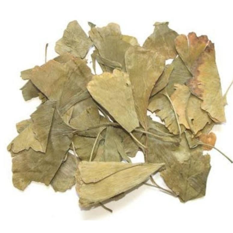 

Daun Ginkgo Biloba - Yin Xing Ye Folium Leaf Ginkgobiloba 50-100 Gram PREMIUM