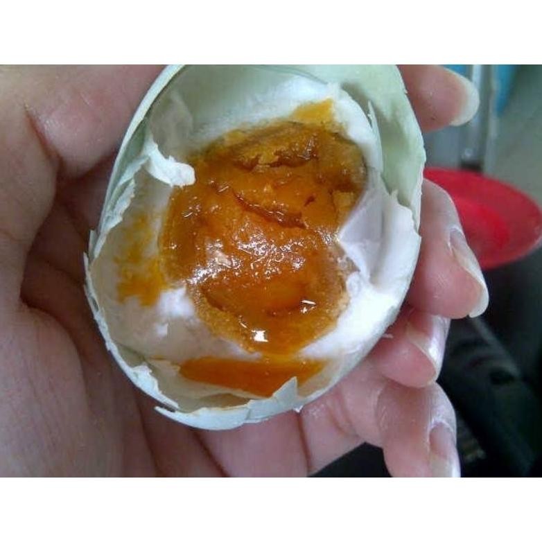 

Telur Asin Masir Super Pilihan Harga Per Butir