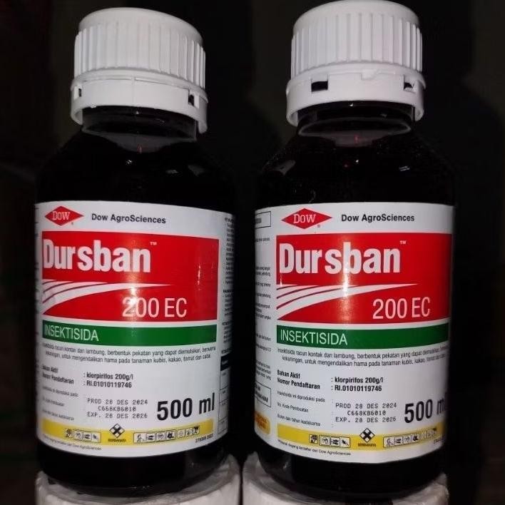 Insektisida Dursban 500 ML