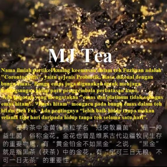 

Baishaxi 1953 Jinhua Black Tea Hunan Anhua Brick Fu Tea 318Gr Maison Auratea