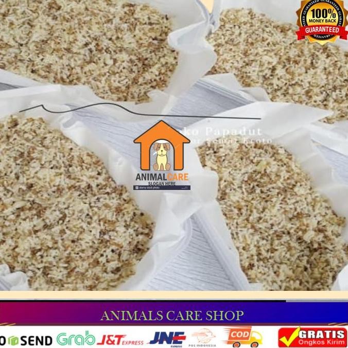 Tersedia KROTO SUPER PERA SUPER NON SEMUT, UMPAN PANCING 1 ONS - WADAH PLASTIK