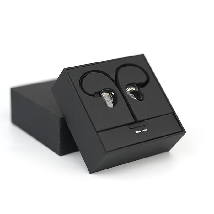 AUDIO IEM TRUTHEAR GATE WITH MIC