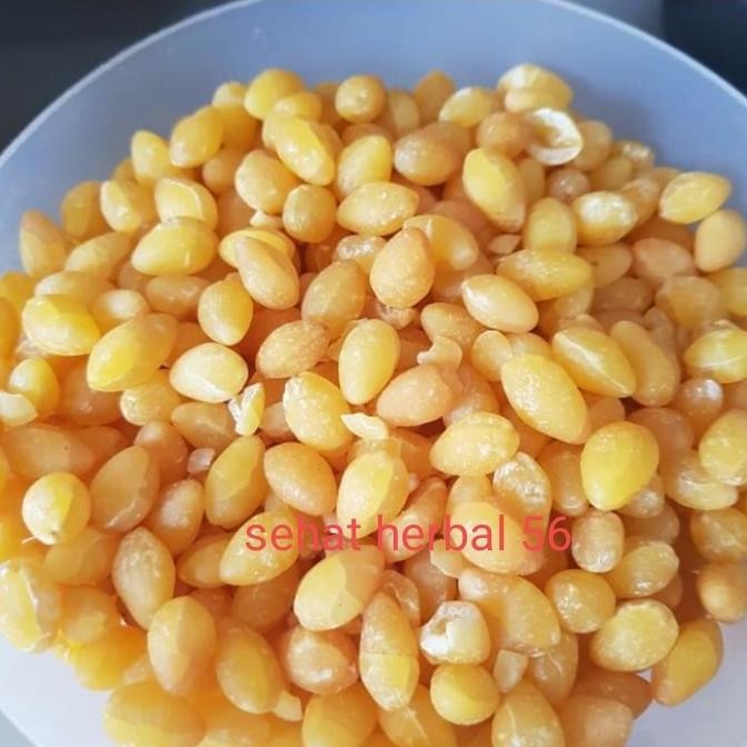 

Grosir Ginko Seed / Ginko Giloba 1/2Kg