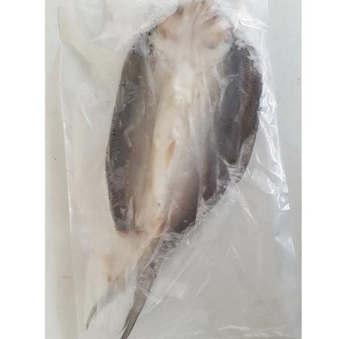 

(Expert) IKAN BANDENG TANPA DURI 350G | IKAN BANDENG CABUT DURI | HALAL FROZEN