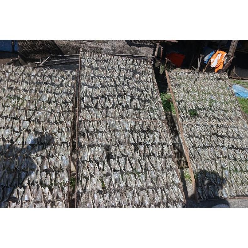 

Termurah Ikan Asin Tipis Tarakan 1Kg Termurah Fgh-56