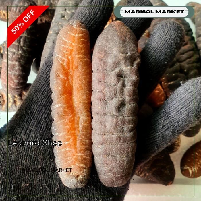 

HAISOM BELITUNG BESAR SUPER / TERIPANG / GAMAT KERING OBAT SEACUCUMBER DISKON GEDE