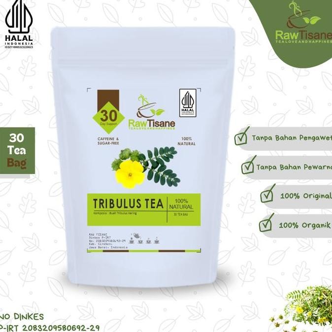 

SALE!!! TRIBULUS TERRESTRIS FRUIT TEA : TEH TRIBULUS TERRESTRIS ISI 30 TEA BAG