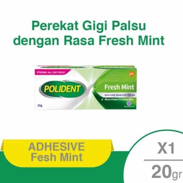 KECIL Polident Poliden Polyden Polydent Poli Den 20 Gr AST