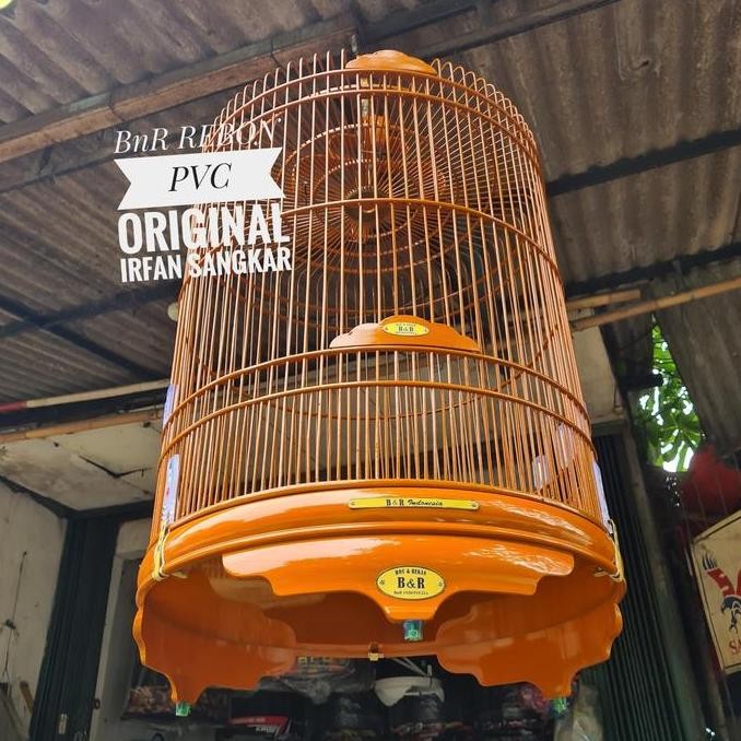 murai BnR pvc natural original sangkar resmi prescup 2020