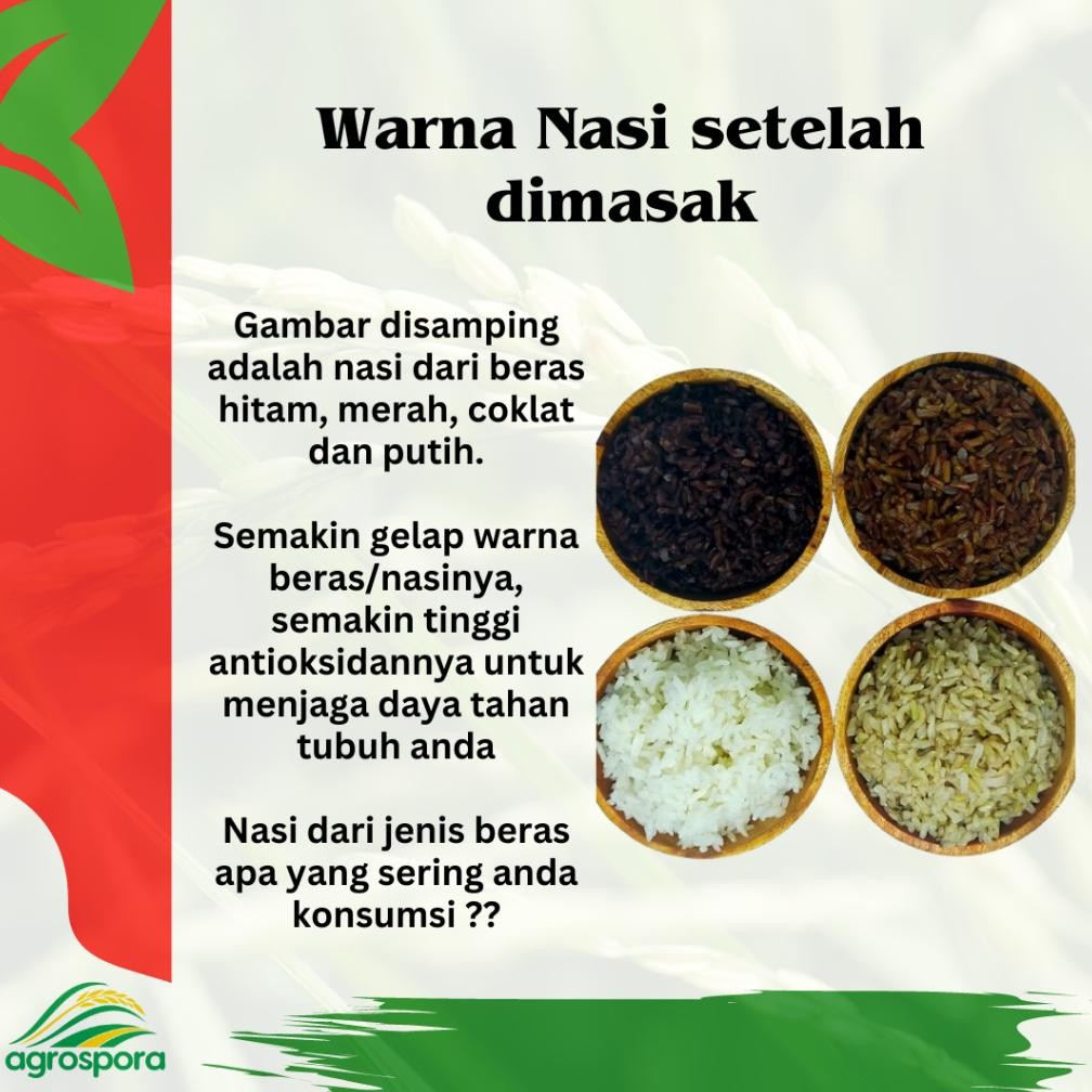 

Pringkasap - Beras Organik Putih 1 Kg (Vacum) RB10