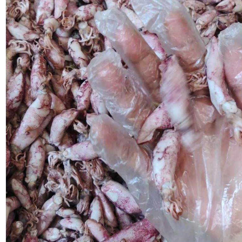 

Grosir Ikan Asin Dian - Ikan Asin Cumi Sontong Ukuran Sedang Berat 500 Gram(Cumi Rebus) RB10