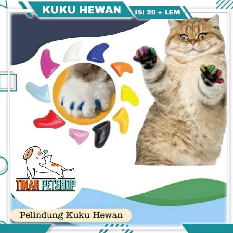Kuku Kucing Bahan Plastik Isi 20 Lembut Warna-Warni Dengan Lem / Pelindung Kuku Kucing Tinah Petshop