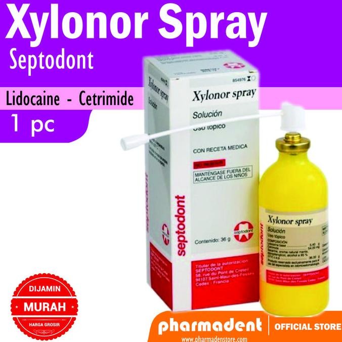 NEW Anastesi Xylonor Spray 36gr Septodont / Xilonibsa