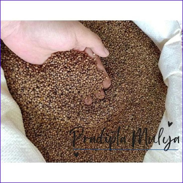 

Langsung Di Co Ketumbar Hitam Organik Kemasan 1Kg