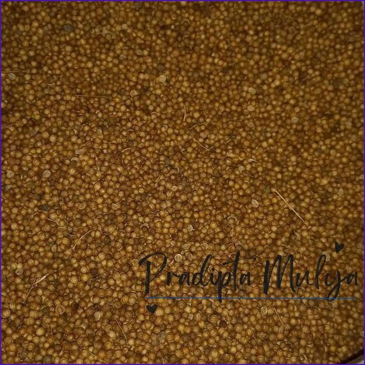 

Murah..!! Ketumbar Hitam Murni Premium 1 Kg Wangi/Black Coriander Pack 1000Gr