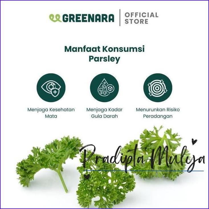 

Langsung Gas.! Daun Parsley Kering 20Gr (Botol) / Parsley Flakes