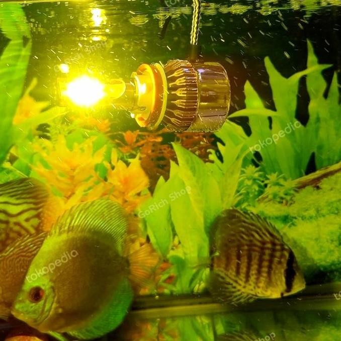 Led Foglamp Headlamp C6 H11, H8, H9 Yellow / Kuning [terbaik]