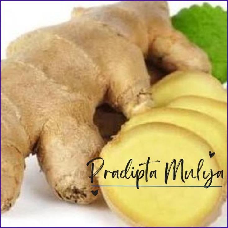 

Asli..! Jahe Putih Segar / Bumbu Dapur Segar 500Gram Rempah