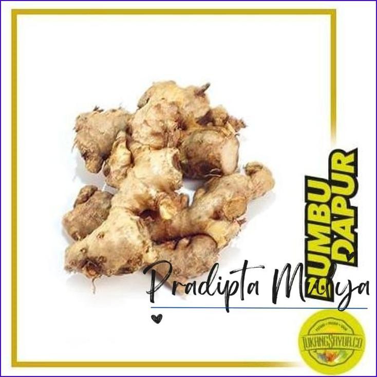 

Masih Ada.! Jahe Emprit / Sunti 250 Gr