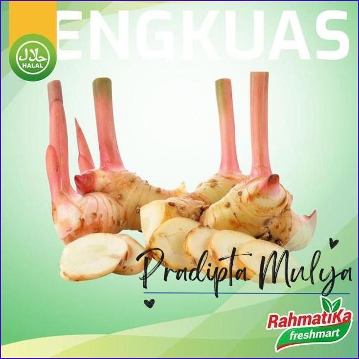 

Gass.! Lengkuas / Laos 500 Gram (Bumbu Dapur)