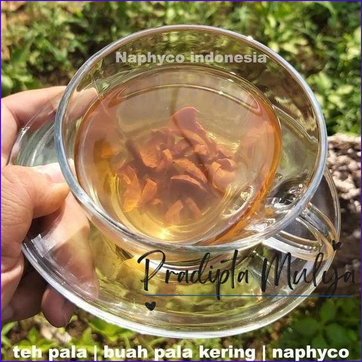 

Murah..!! Buah Pala Kering 40G