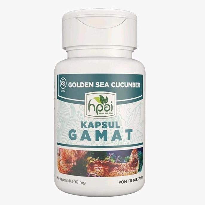 Gamat Kapsul Hpai , Teripang Emas