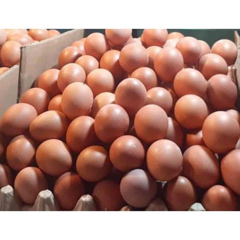

TELUR AYAM NEGERI KILOAN / TELOR AYAM FRESH LANGSUNG DARI PETERNAK