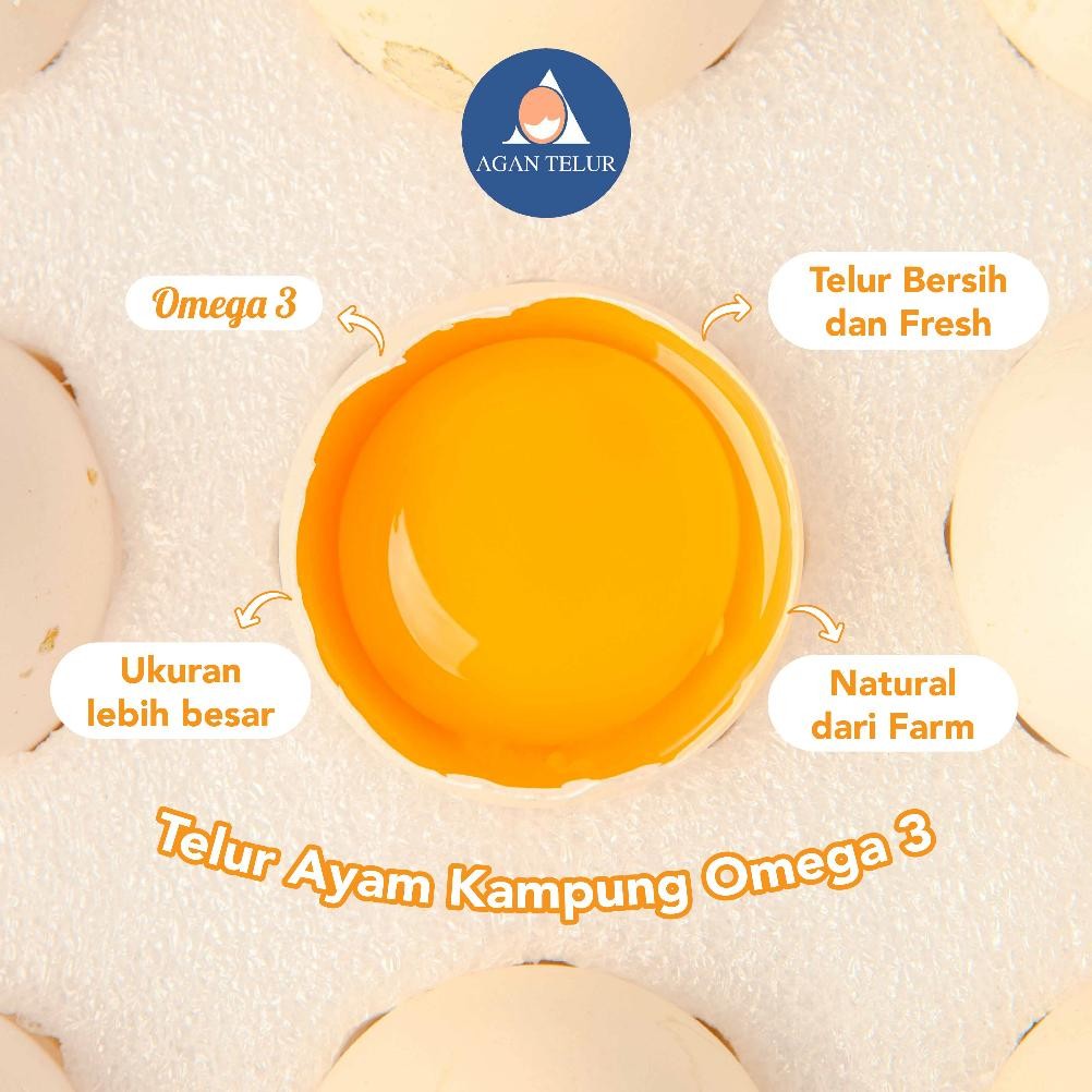 

TELUR AYAM KAMPUNG OMEGA/TELUR KAMPUNG OMEGA (30 BUTIR)