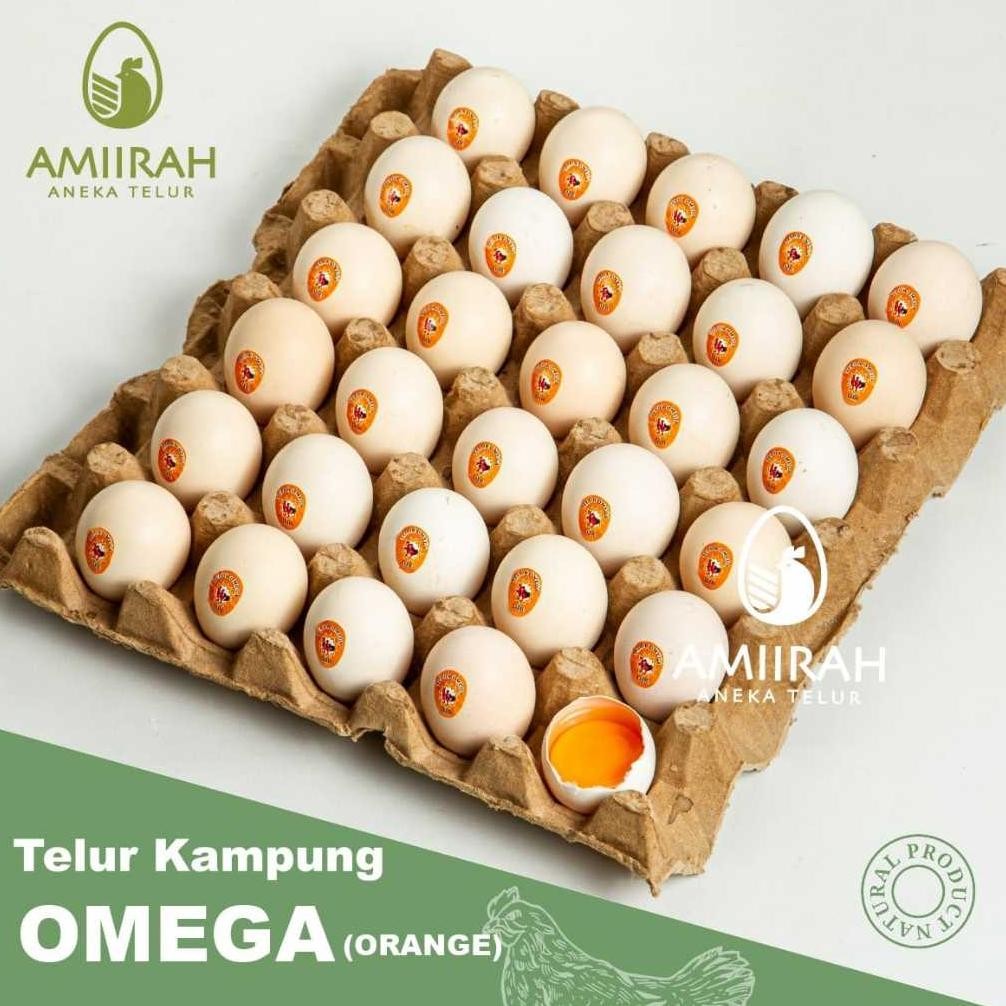 

TELUR AYAM KAMPUNG OMEGA ASLI 30 BUTIR / TELUR KAMPUNG OMEGA 30 BUTIR ASLI
