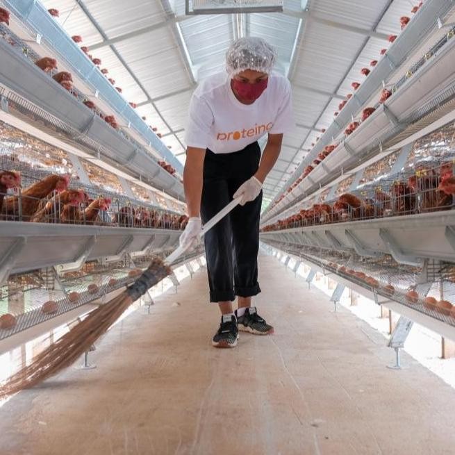 

PROTEINC. FRESH EGGS OMEGA 3 TELUR AYAM NEGERI 10 ' S