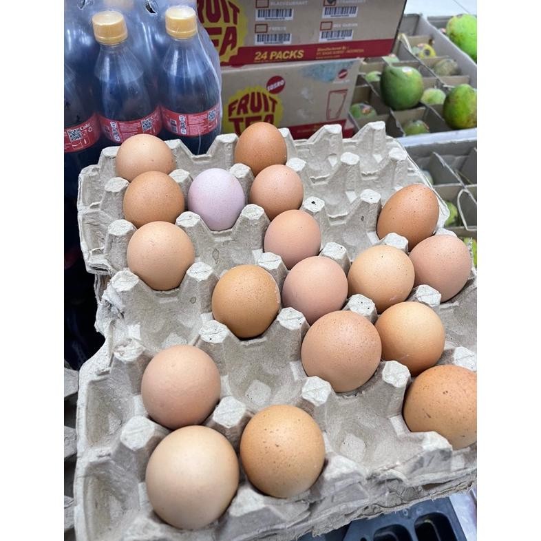 

TELUR AYAM INSTAN KURIR