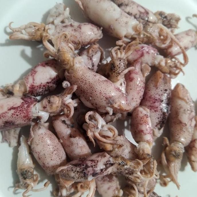 

Cumi Asin Baby 1Kg /Cumi Asin Rebus/Ikan Asin Cumi Baby