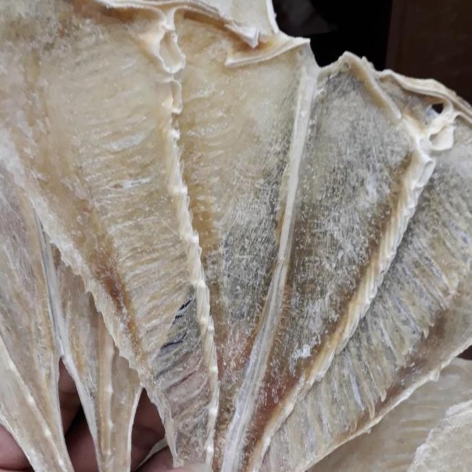 

Ikan Pari Medan 250Gram