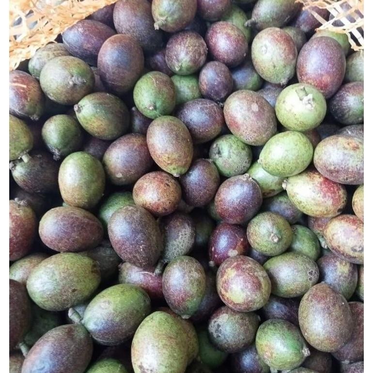 

_Kecil_ Buah Matoa Fresh 1Kg Manis Dan Daging Tebal Ga-121