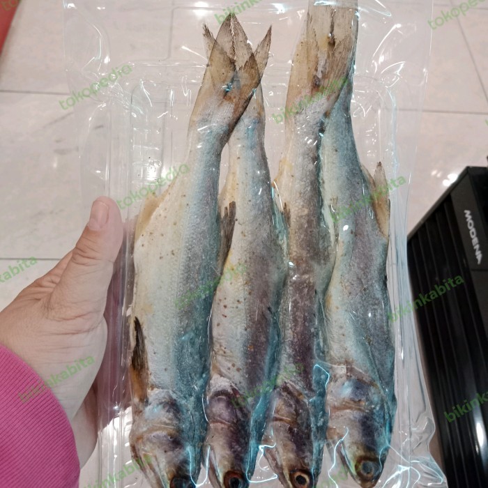 

Ikan Kuro Manis enak Khas Cirebon