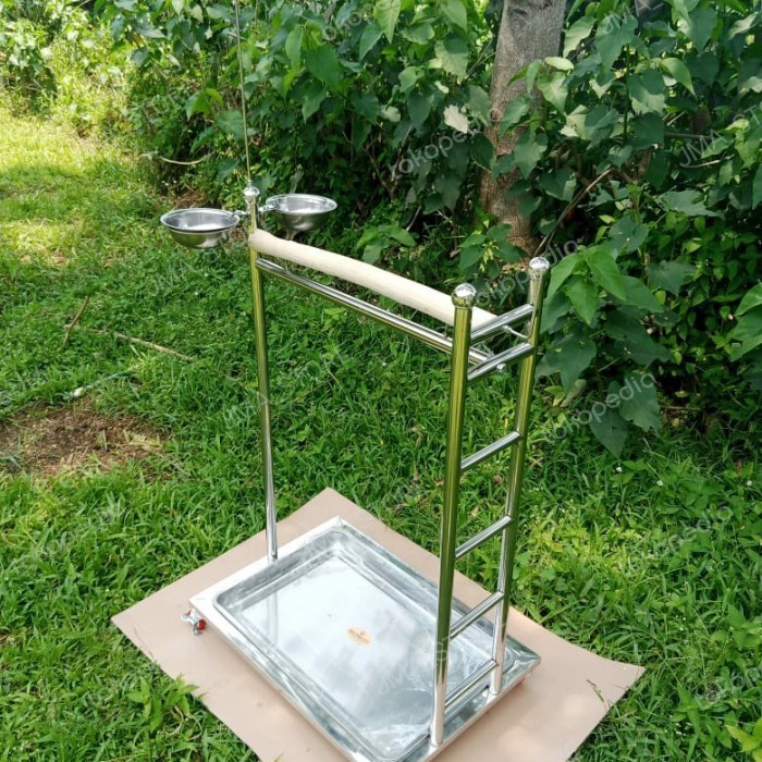 tangkringan burung parrot kakatua