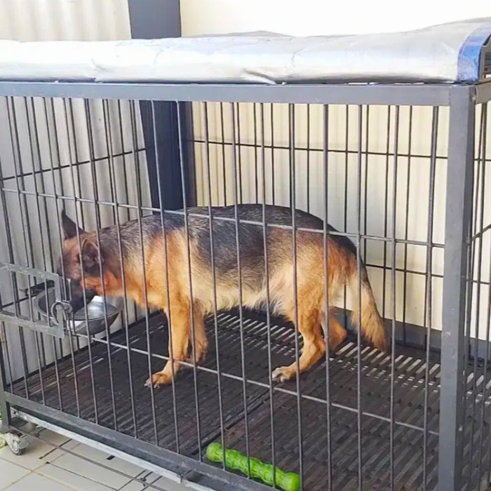 kandang anjing besar besi 120cm