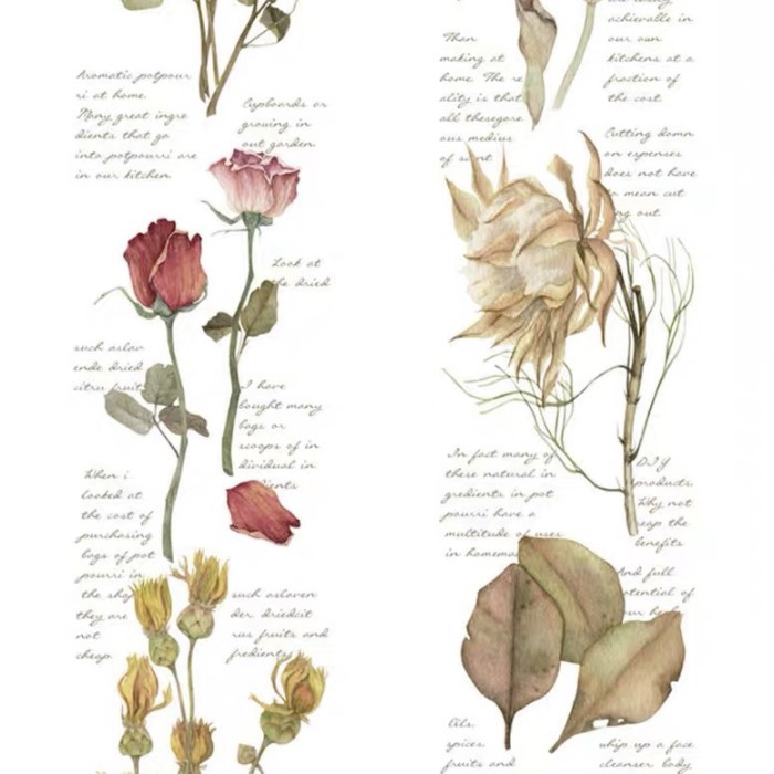 

Diskon Okmt Washi Tape Packing Aman