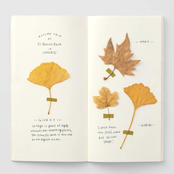 

Sale Traveler'S Notebook Tn Insert Refill Book