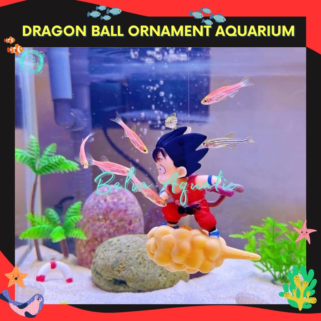 Hiaan Deorai Aquarium Dragon Ball Hiaan Mengapung Dragon Ball