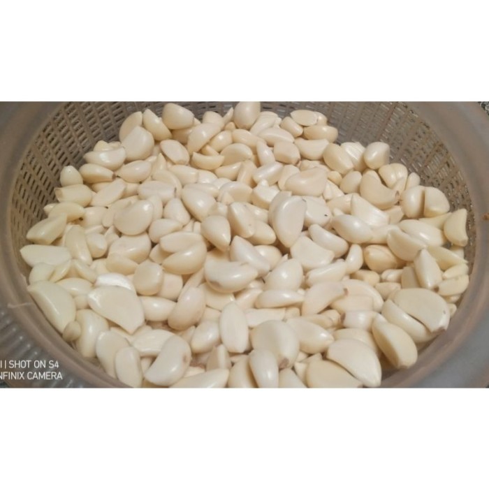 

TERLARIS BAWANG PUTIH BIASA KUPAS 1KG MURAH!!! MURAH