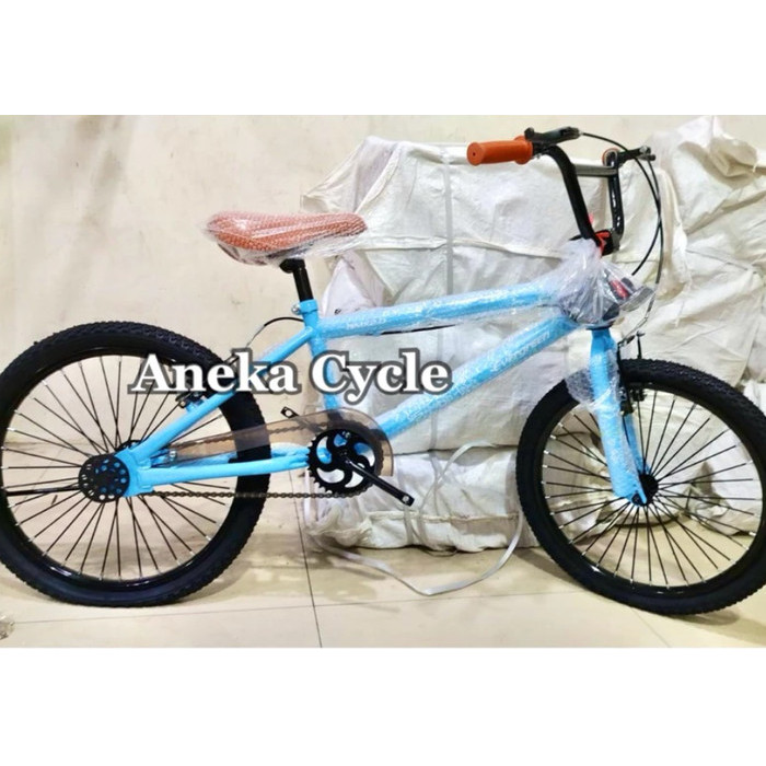 Sepeda Anak Bmx Evergreen 20.