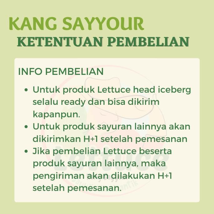 

Kentang [250Gr-1Kg] Besar Raw Potatoes Kentang 1 Kg Super Original