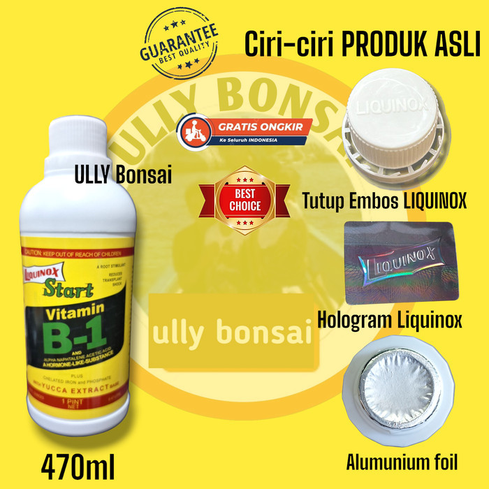 ASLI LIQUINOX VITAMIN B1 500ML HORMON PUPUK CAIR ZPT ORIGINAL KODE 741