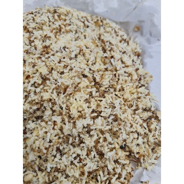 Kroto Halus ( Telur Semut Rang Rang )