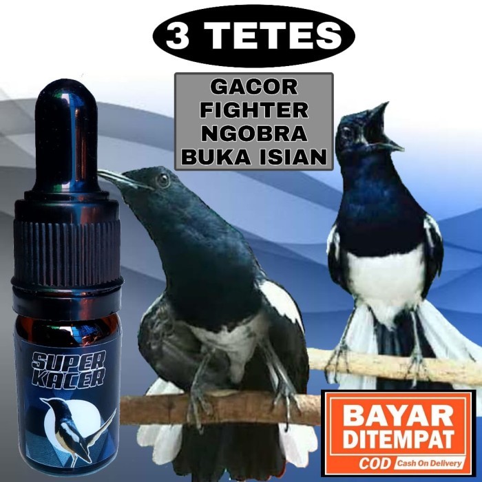 SUPER KACER VITAMIN PENGGACOR KHUSUS BURUNG KACER