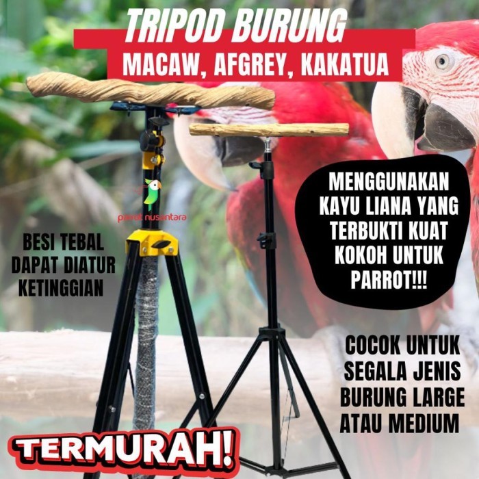 Tripod Tangkringan Untuk Burung Yang Terbukti Kuat Dan Kokoh
