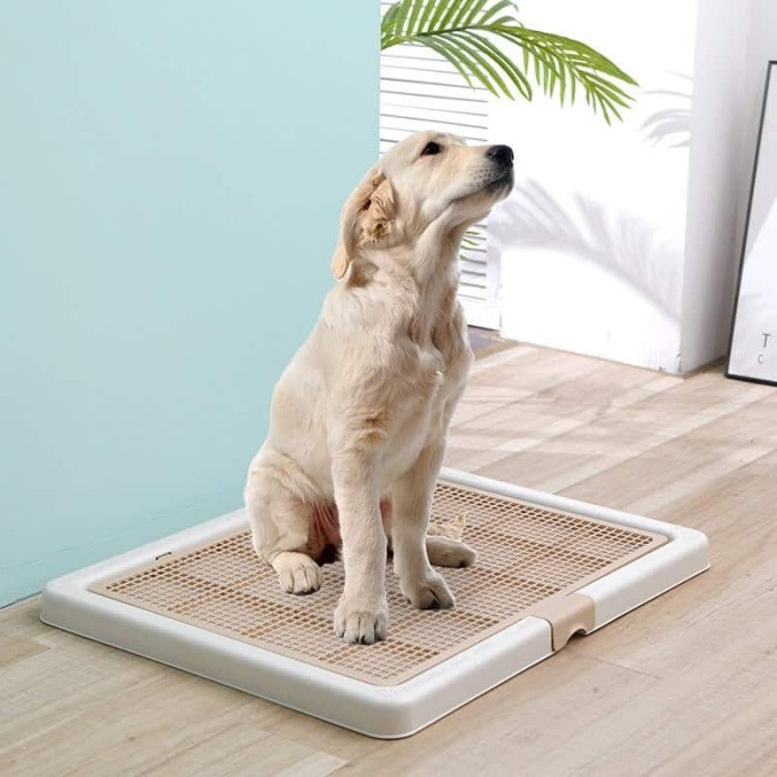 Pet Toilet Training Dog Large - Tempat Pipis Poop - Pee Tray Dog L