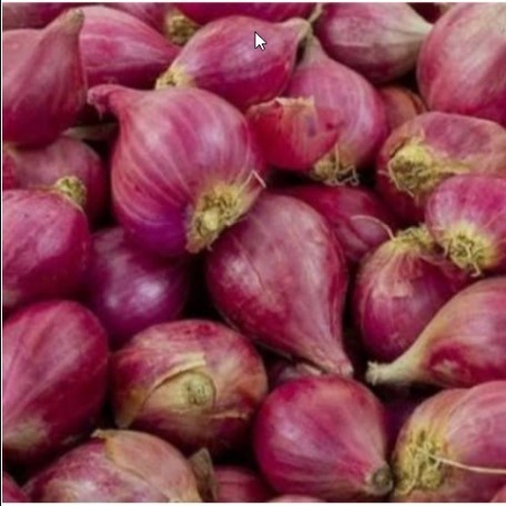 

Harga Termurah Bawang Merah Super Sayur N Co Bekasi Best Seller