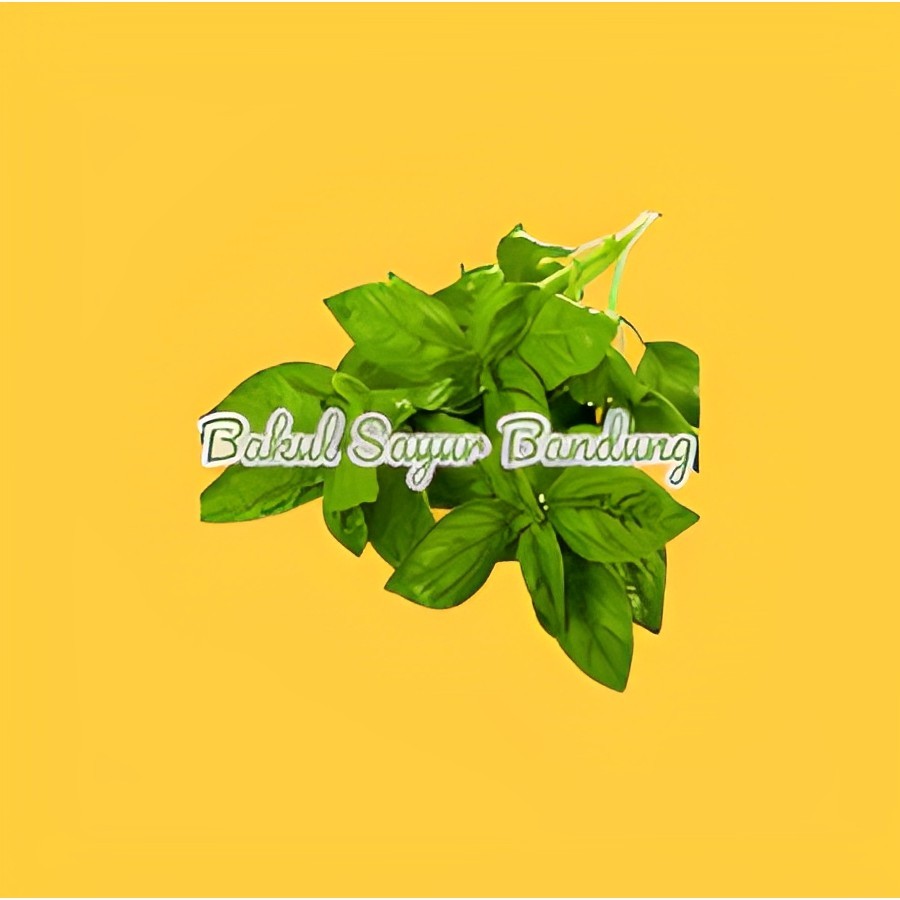 

Daun Kemangi / ikat Bakul Sayur Bandung